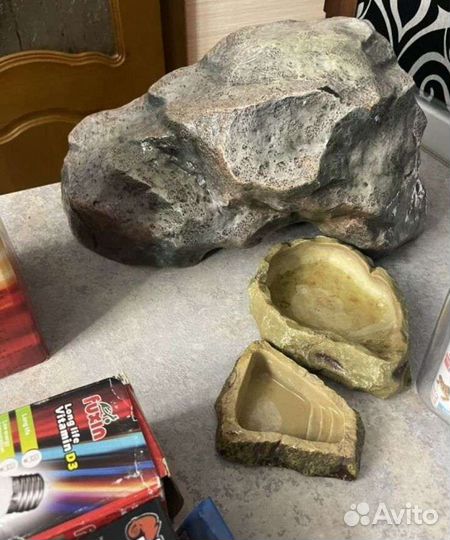 Террариум с наполнением