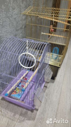 Клетка для птиц