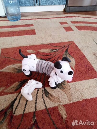 Собака робот