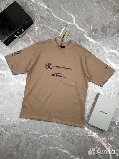 Футболка мужская Balenciaga