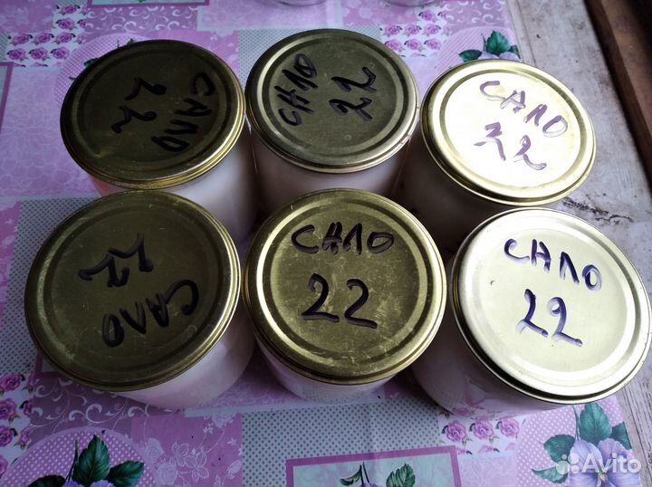 Свиной топлёный жир смалец Псков Остров