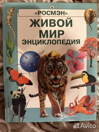 Детские энциклопедии