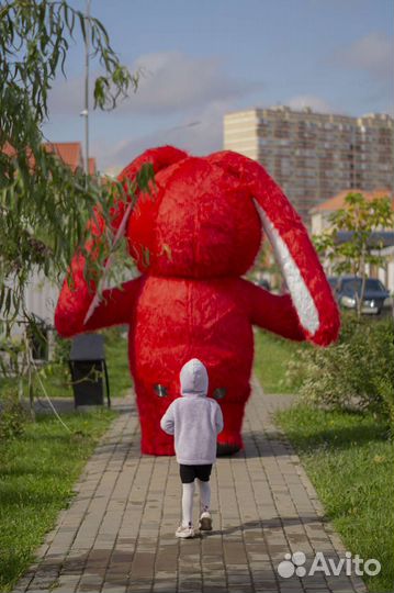 Надувной костюм. Символ года 2023