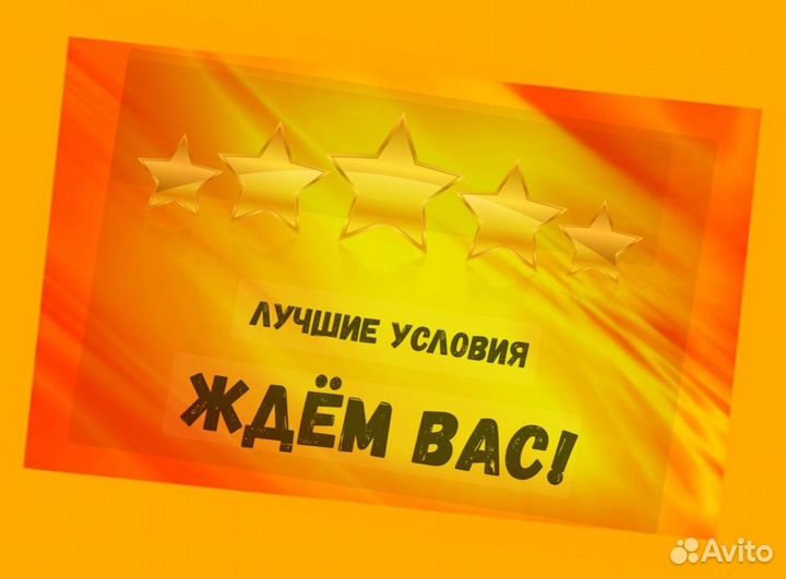 Наборщик заказов Без опыта Еженедельные выплаты