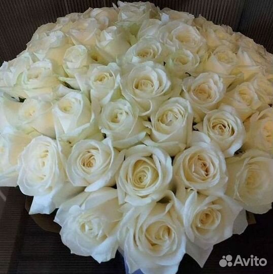 Метровые розы с доставкой