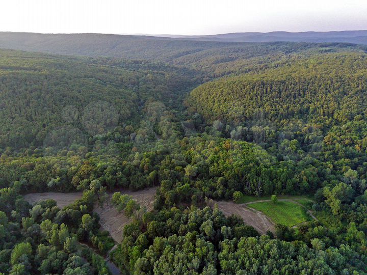 Участок 24,3 сот. (СНТ, ДНП)