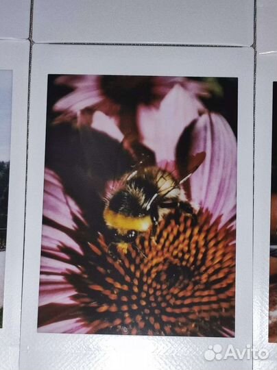 Печать фото instax на заказ polaroid / Fujifilm