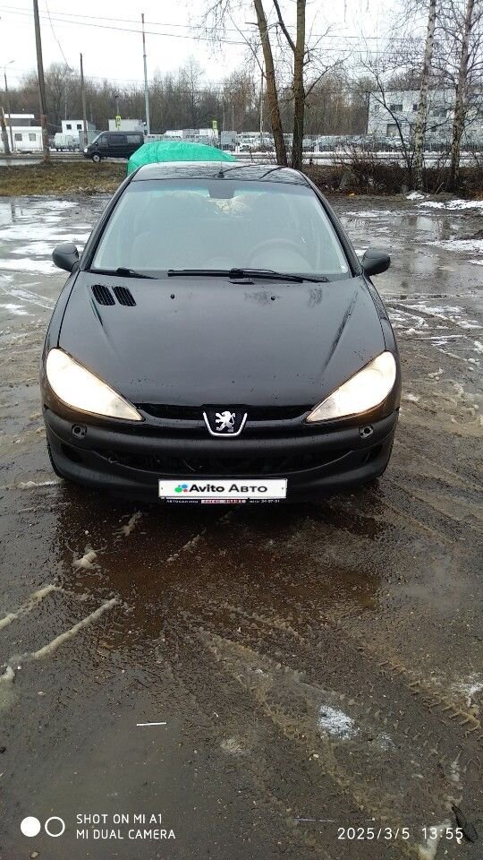 Peugeot 206: фото владельца