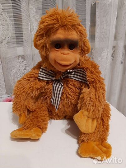 Обезьяна орангутан