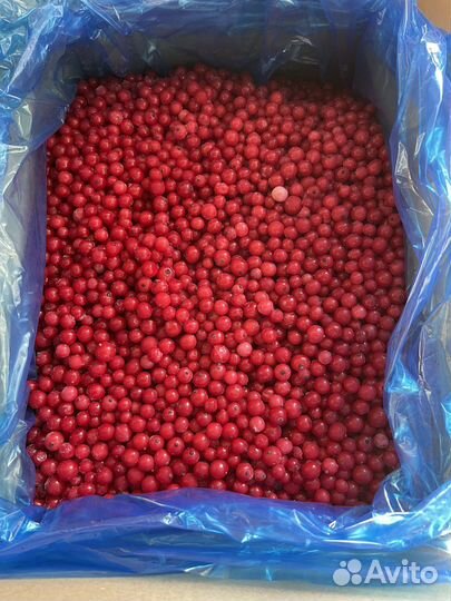 Красная смородина замороженная
