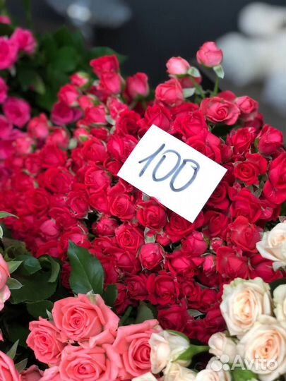 Кустовая роза Доставка Роза кустовая