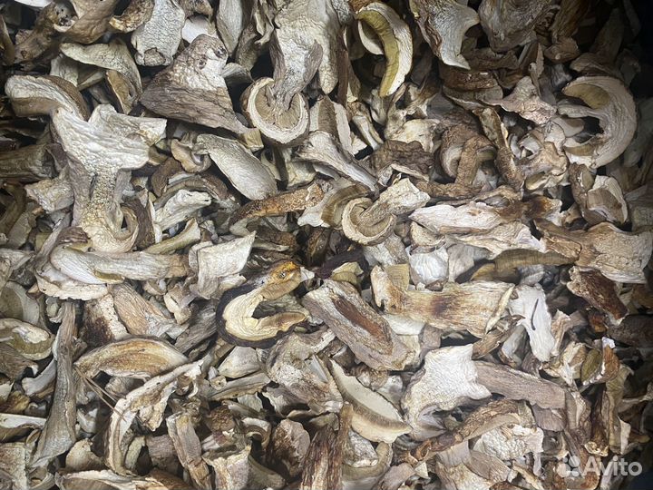 Белые грибы первый сорт