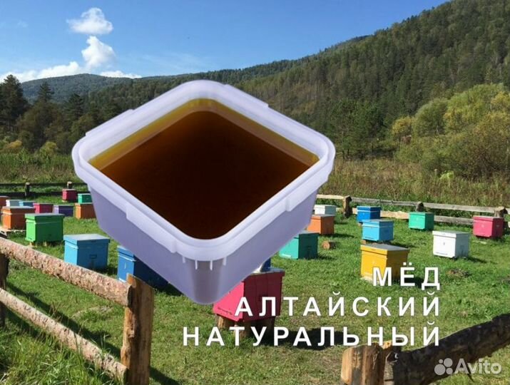 Мед натуральный с Алтая опт