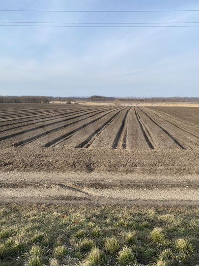 Участок 50 сот. (СНТ, ДНП)