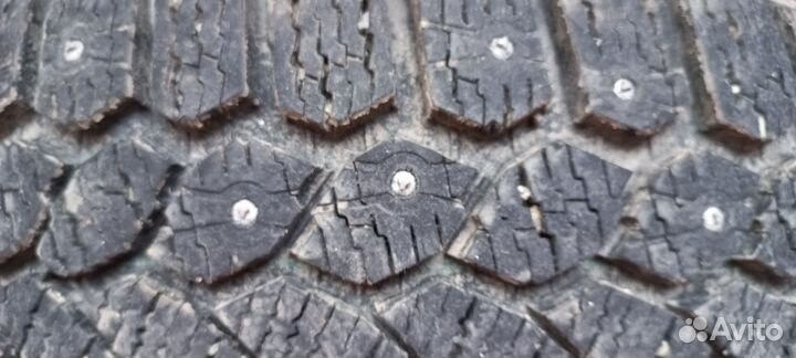 Gislaved Nord Frost 200 195/55 R16 91T