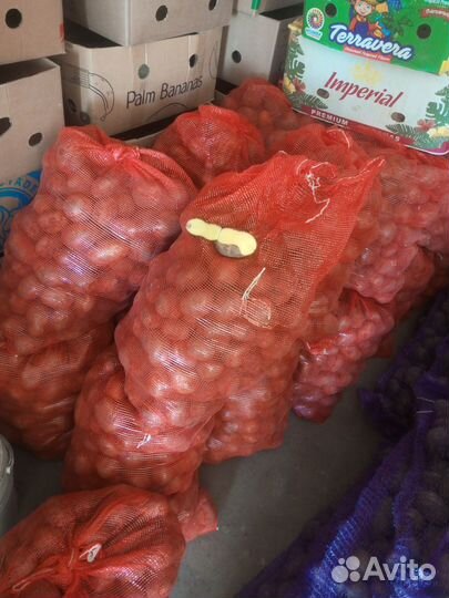 Картофель 2 сорт