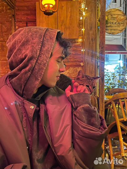 Помощник руководителя