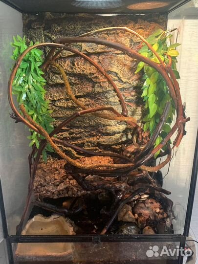 Террариум 60х45х90