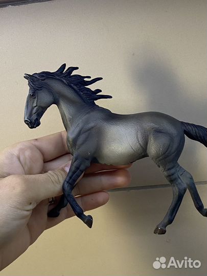 Кобыла мустанг