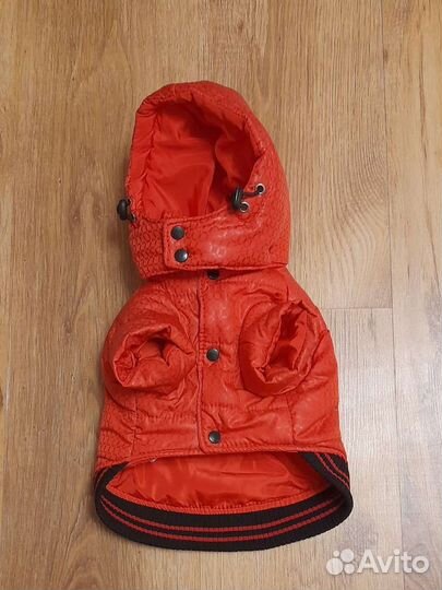 Куртка для маленькой собаки