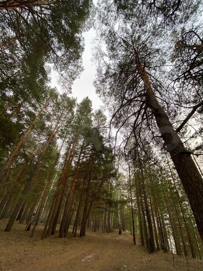 Участок 1,2 га (СНТ, ДНП)