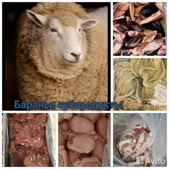 Бараньи субпродукты для корма собакам оптом