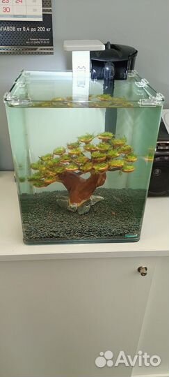 Аквариум под ключ