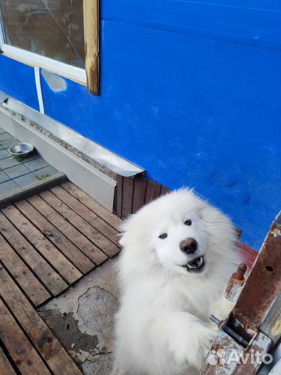 Взрослый мальчик