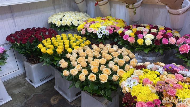 Доставка цветов / Цветы розы