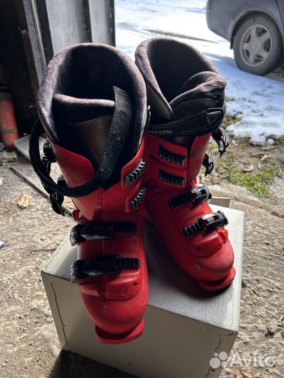 Горные лыжи