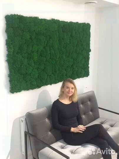 Стабилизированный мох панели