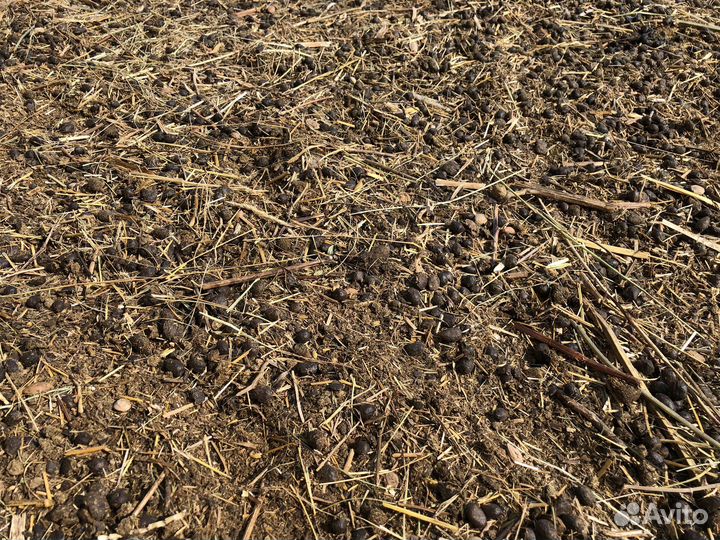 Навоз, Овечий-Чернозем