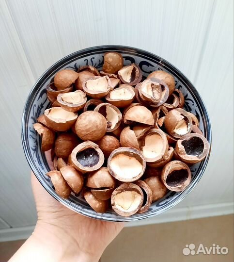 Скорлупа ореха макадамия 670 гр