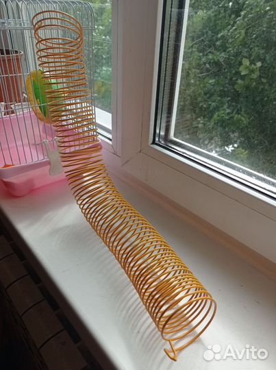 Лабиринт для грызунов