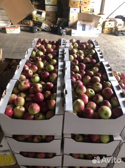 Яблоки оптом и розницу