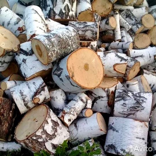 Дрова сегодня