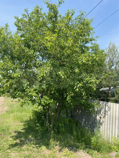 Дом 305 м² на участке 20 сот.