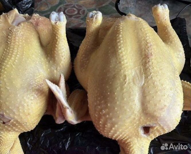 Свежее домашнее мясо Уток,Кур и Индейка