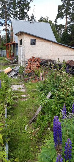 Дача 20 м² на участке 7,5 сот.