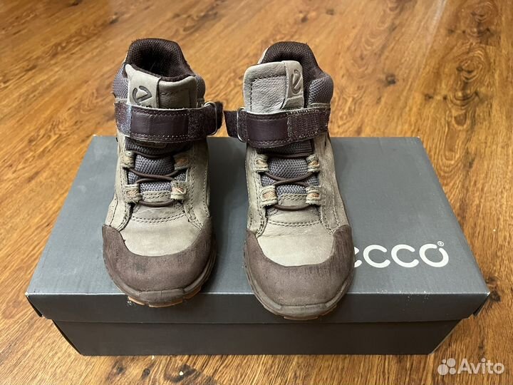 Ботинки осенние ecco 31