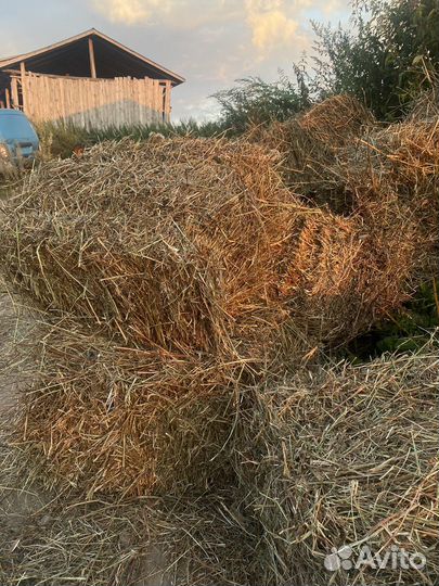 Сено в брикетах
