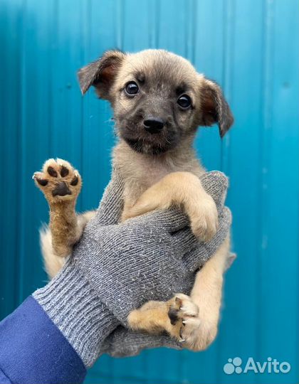 Маленькая девочка