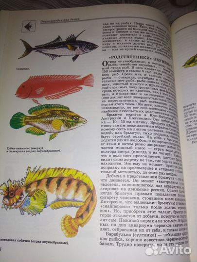 Энциклопедия для детей