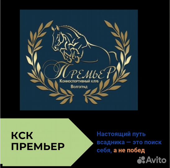 Графический дизайнер удаленно