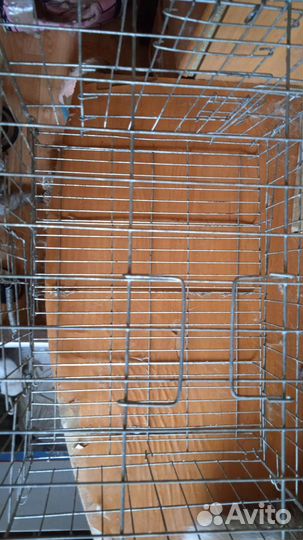 Клетка для животных бу