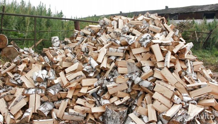 Дрова в область