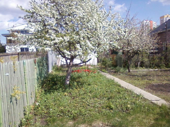 Дача 35 м² на участке 4 сот.