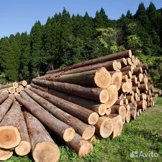 Круглый лес на балки перекрытия длина до 11 метров