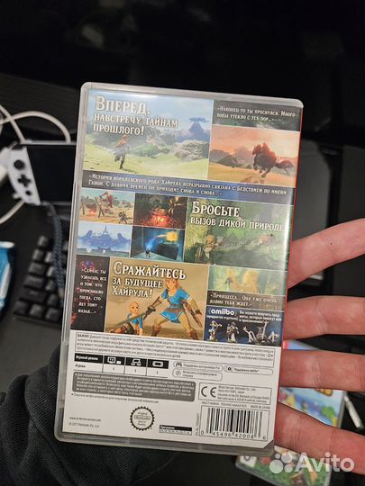 Zelda breath of the wild