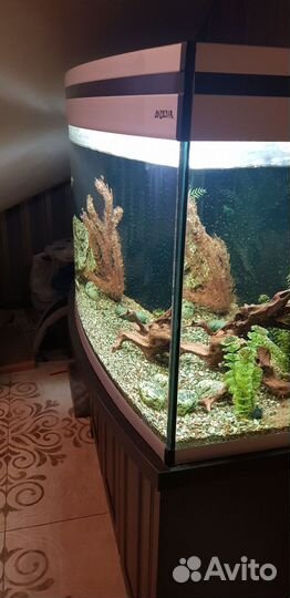 Аквариум с тумбой